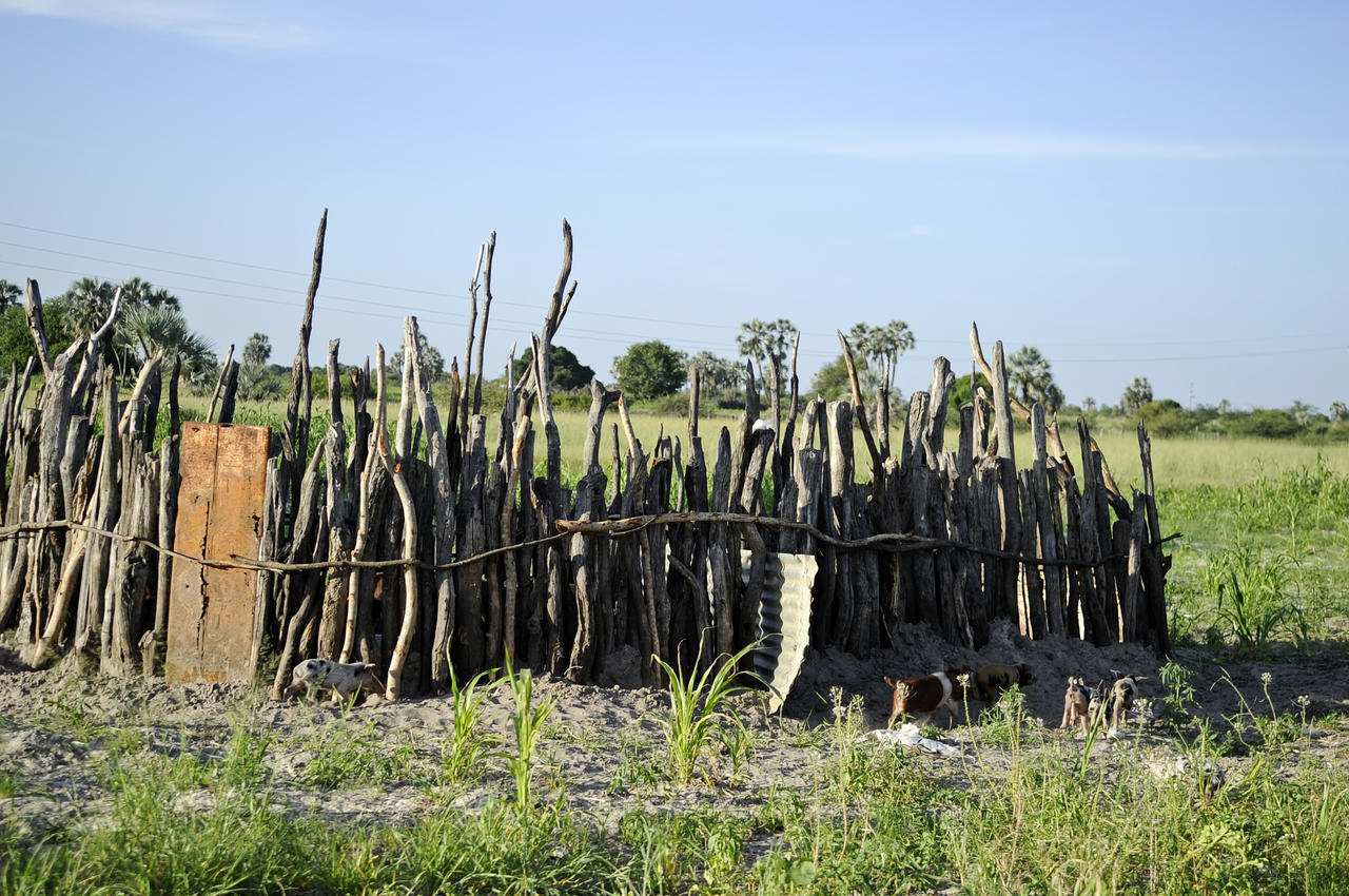 Ongula Village Homestead Lodge Omupumba Kültér fotó